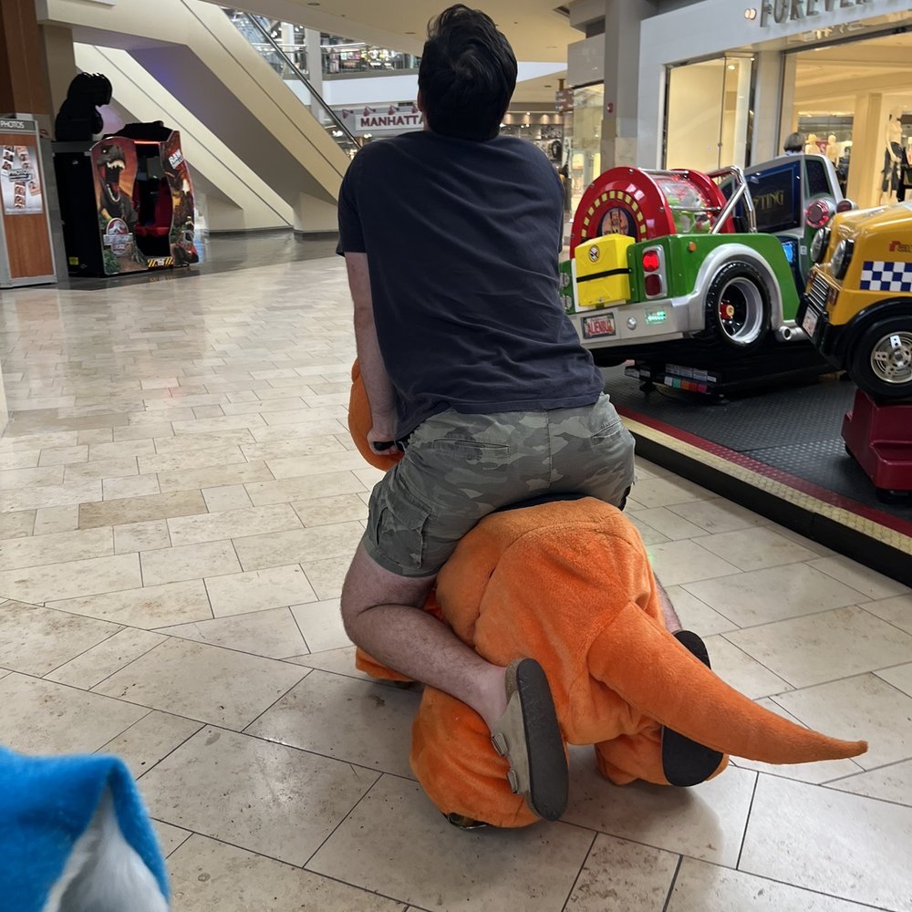 Augusta Mall - Highly recommend riding these - Shopping Centers Near Me - Augusta, Georgia Augusta Mall - Highly recommend riding these - Shopping Centers Near Me - Augusta, Georgia
