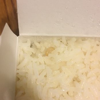 Lemonleaf Grill - Maggot in rice - Thai Near Me - Hicksville, New York Lemonleaf Grill - Maggot in rice - Thai Near Me - Hicksville, New York