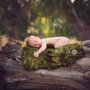 Photo of Bella Faith Photography