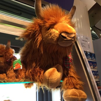 Scottish Seabird Centre - I need this! - Pets Near Me - North Berwick, ELN