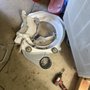 Prolific Appliance Repair