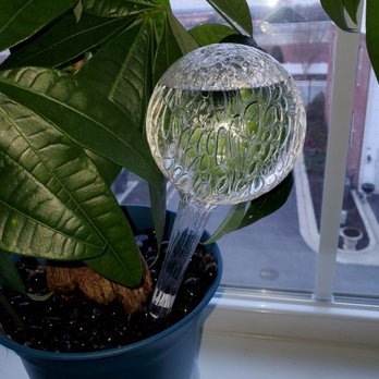 Walmart - Watering globe - Department Stores Near Me - Hanover, Maryland