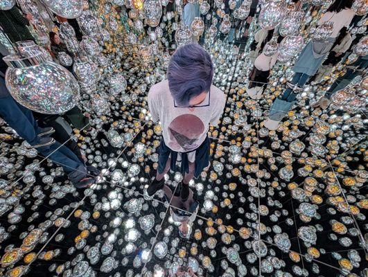 teamLab Borderless: MORI Building DIGITAL ART MUSEUM by null