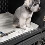 Photo of Lisas Ruff and Ready Pet Grooming