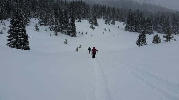 Paragon Guides by null