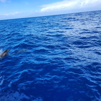 Teralani Sailing Adventures - Boating Near Me - Lahaina, Hawaii Teralani Sailing Adventures - Boating Near Me - Lahaina, Hawaii
