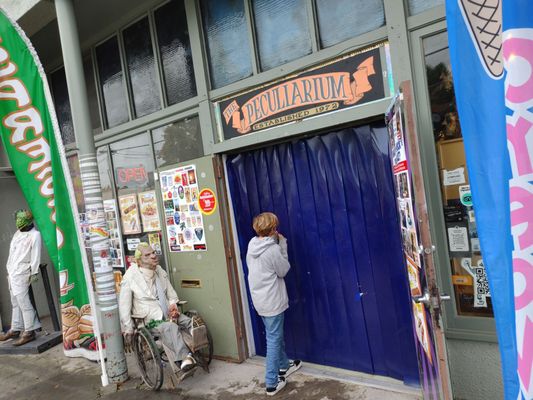 The Freakybuttrue Peculiarium and Museum by null