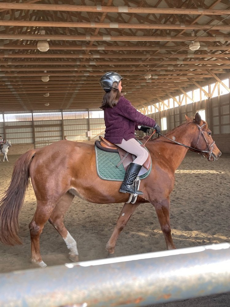Saddle Ridge Riding Center - equestrian in Franklin Lakes, NJ