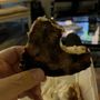 Photo of Wild Boar Tavern
