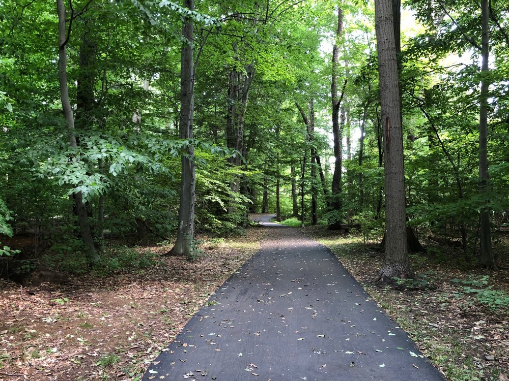 Social spots from Audubon Town Park