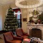 Photo of AA Christmas Trees