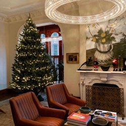 AA Christmas Trees