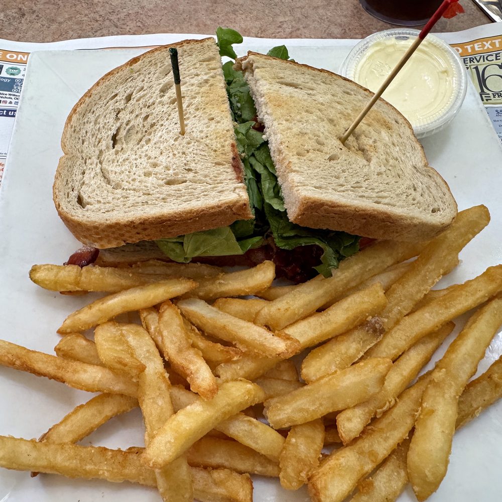 Elmer Diner - BLT and fries. Not fancy, just honest, diner food. - Diners Near Me - Elmer, New Jersey