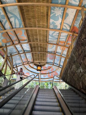 Universal Volcano Bay by null