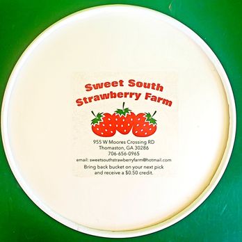 Sweet South Strawberry Farm - SWEET SOUTH STRAWBERRY FARM in Thomaston, Georgia. - Pick Your Own Farms Near Me - Thomaston, Georgia Sweet South Strawberry Farm - SWEET SOUTH STRAWBERRY FARM in Thomaston, Georgia. - Pick Your Own Farms Near Me - Thomaston, Georgia