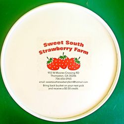 Sweet South Strawberry Farm - SWEET SOUTH STRAWBERRY FARM in Thomaston, Georgia.