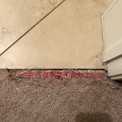 Flooring Solution Services