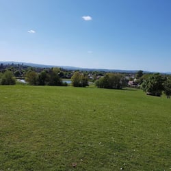Barshaw Park - Top of the hill