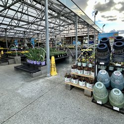 Lowe's Home Improvement - Plants, flower pots, etc.