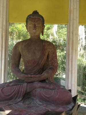 TABASCO Country Store by null