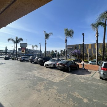 Daybird - Parking lot - Chicken Shop Near Me - Los Angeles, California Daybird - Parking lot - Chicken Shop Near Me - Los Angeles, California
