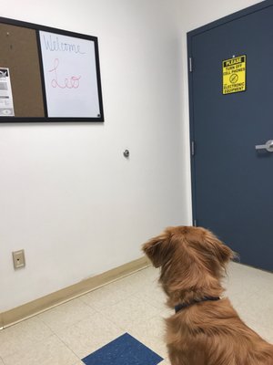 GALENA VETERINARY HOSPITAL 22 Photos & 48 Reviews Veterinarians