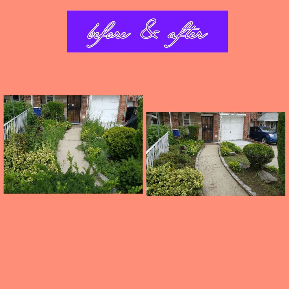 TENNANT LAWN CARE Updated October 2024 10 Photos Queens, New York