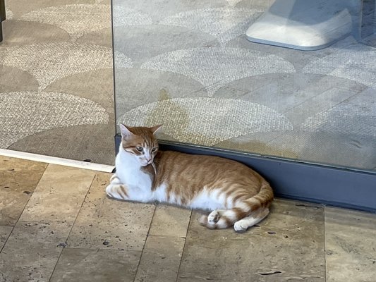 Yalıkavak Marina by null