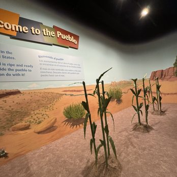 Field Museum - Museums Near Me - Chicago, Illinois