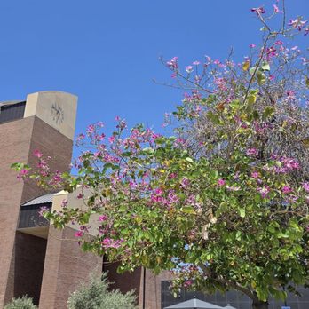 Tempe Public Library - Reading day - Libraries Near Me - Tempe, Arizona Tempe Public Library - Reading day - Libraries Near Me - Tempe, Arizona