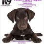 Photo of The K9 Company