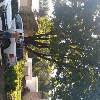 Mountain Mama Tree Experts - Tree Services Near Me Mountain Mama Tree Experts - Tree Services Near Me