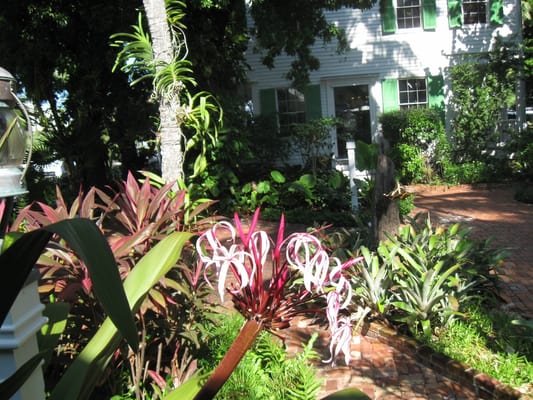 Audubon House & Tropical Gardens by null