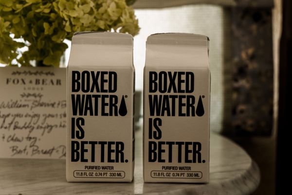 Fox & Bear Lodge by null