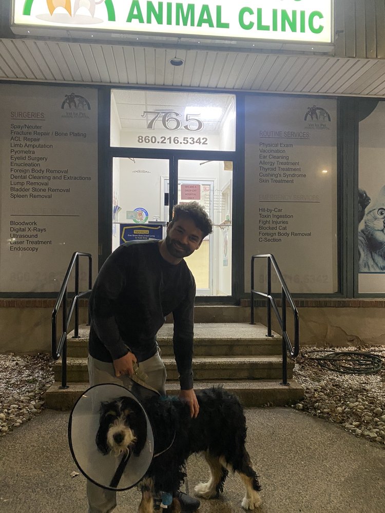 VET FOR PET ANIMAL HOSPITAL Updated June 2024 11 Reviews 765 Main