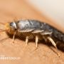 Photo of The PEST Group