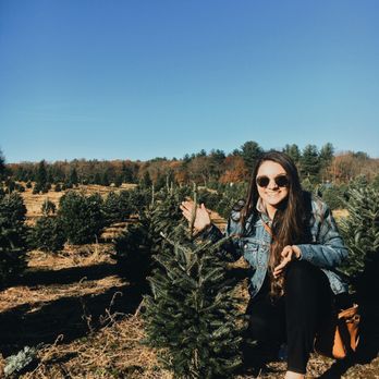 Henry's Christmas Tree Farm - excellent place to go for all your christmas tree needs. - Christmas Trees Near Me - Hope, Rhode Island Henry's Christmas Tree Farm - excellent place to go for all your christmas tree needs. - Christmas Trees Near Me - Hope, Rhode Island