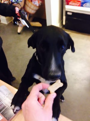 Nesbit’s Poeyfarre Street Market by null