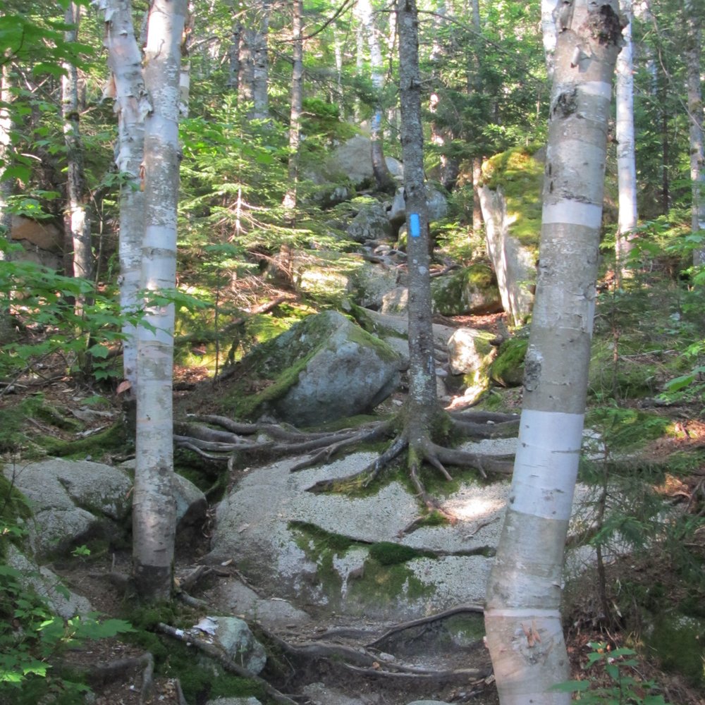 Baxter State Park - Helon Taylor Trail - Hiking Near Me - Millinocket, Maine Baxter State Park - Helon Taylor Trail - Hiking Near Me - Millinocket, Maine