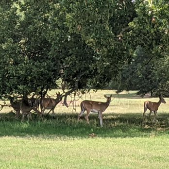 Deer Run Golf Course - Golf Near Me - WEST TAWAKONI, Texas Deer Run Golf Course - Golf Near Me - WEST TAWAKONI, Texas