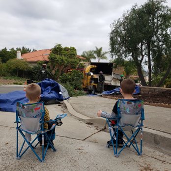 Perpetual Tree Care - Professional and kid friendly! - Tree Services Near Me - Santee, California