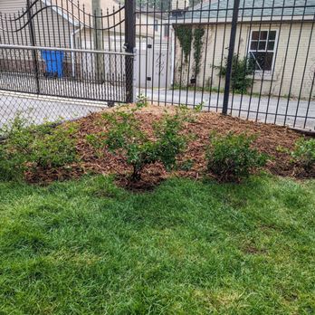 J M Tree Service - Tree Services Near Me - Chicago Ridge, Illinois