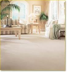 Perfect Carpet  & Rug Cleaning