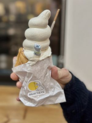 Break the Ice by null