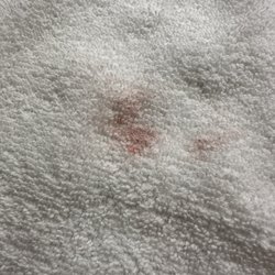 La Quinta by Wyndham Hartford - Bradley Airport - Stained washcloth