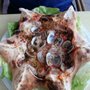 Photo of La Tavola da Franco