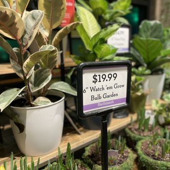Lunds & Byerlys - Floral - Grocery Near Me - Saint Paul, Minnesota