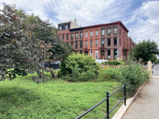 Herbert Von King Park by null