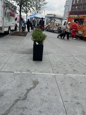 Cesar's Empanadas Truck by null