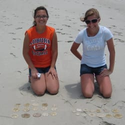 Adventure Harbor Tours - The days take. These girls did great with the sand dollars. Too bad the bank won't take these towards the mortgage.